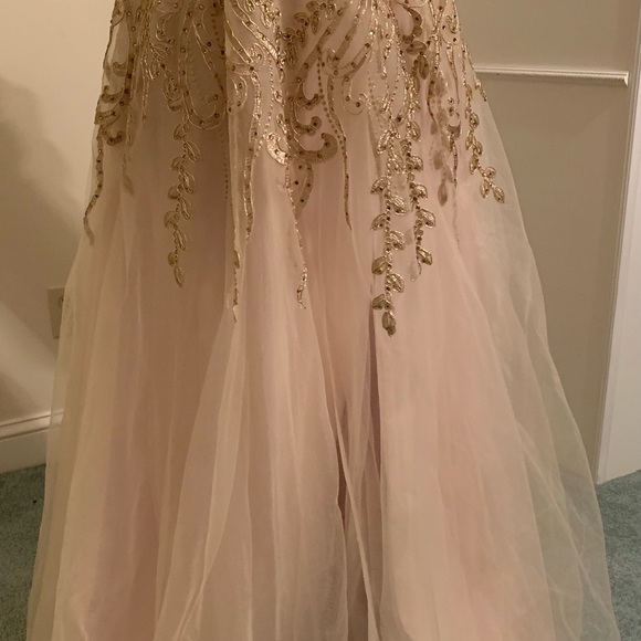 Champagne and gold prom gown - Picture 10 of 11
